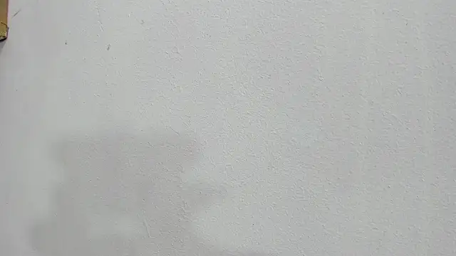 Snapshot of scarlett646 chatting on October 2025 03:03:02 AM scarlett646 online show from October 2025 03:03:02 AM