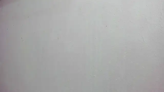 Snapshot of scarlett646 chatting on November 2025 03:05:01 AM scarlett646 online show from November 2025 03:05:01 AM