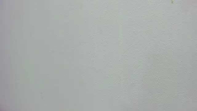 Snapshot of scarlett646 chatting on November 2025 03:04:01 AM scarlett646 online show from November 2025 03:04:01 AM