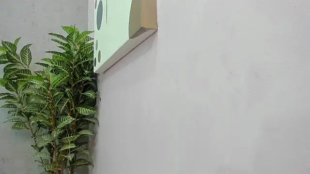 Snapshot of scarlett646 chatting on December 2025 03:12:02 AM scarlett646 online show from December 2025 03:12:02 AM