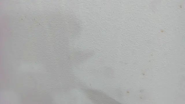 Snapshot of scarlett646 chatting on December 2025 03:05:01 AM scarlett646 online show from December 2025 03:05:01 AM