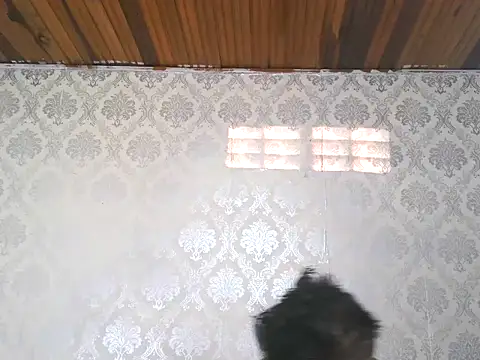 leandro477 online show from September 2025 09:14:02 PM