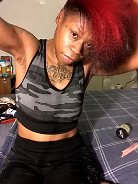 Tishrella6 online show from September 2025 11:33:01 AM