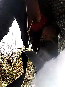 venu00 online show from March 2026 05:24:01 AM