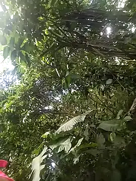 dulcelatin21 online show from November 2025 07:58:01 PM