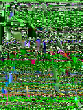 Ariovalle online show from July 2026 07:25:01 AM