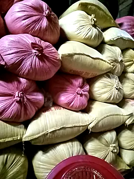 Sa2mh20 online show from December 2025 01:54:02 AM