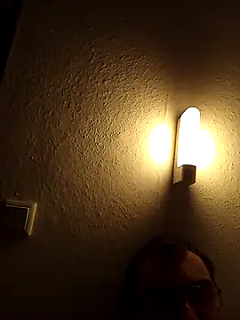 Snapshot of LolGamer54321 chatting on March 2026 07:11:01 PM LolGamer54321 online show from March 2026 07:11:01 PM