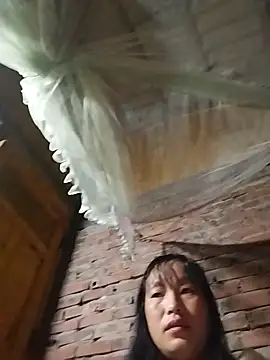 miss-su online show from November 2025 06:19:02 PM