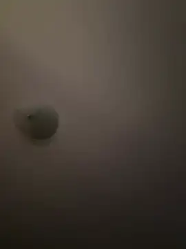 Snapshot of Troydaddy578 chatting on April 2026 04:24:01 AM Troydaddy578 online show from April 2026 04:24:01 AM