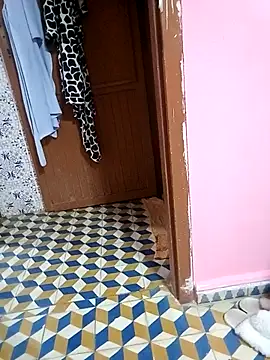 Mayamimi online show from November 2025 09:31:02 AM