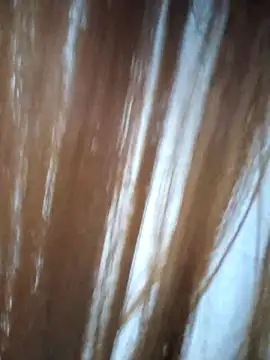 Snapshot of midnightmuse-03 chatting on March 2026 01:23:01 AM midnightmuse-03 online show from March 2026 01:23:01 AM