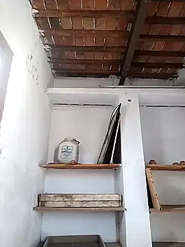 PunjabiSardarBull online show from April 2026 03:02:01 AM