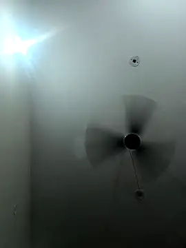 Snapshot of Appypie chatting on September 2025 04:41:01 PM Appypie online show from September 2025 04:41:01 PM