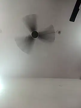 Snapshot of Appypie chatting on October 2025 05:24:01 AM Appypie online show from October 2025 05:24:01 AM