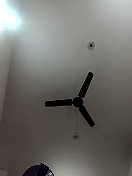 Snapshot of Appypie chatting on November 2025 06:03:01 AM Appypie online show from November 2025 06:03:01 AM