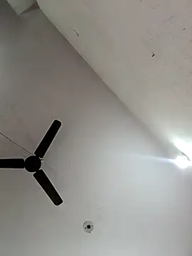 Snapshot of Appypie chatting on November 2025 06:13:02 AM Appypie online show from November 2025 06:13:02 AM