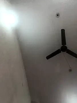 Snapshot of Appypie chatting on November 2025 05:51:01 AM Appypie online show from November 2025 05:51:01 AM