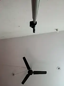 Snapshot of Appypie chatting on November 2025 06:44:01 AM Appypie online show from November 2025 06:44:01 AM