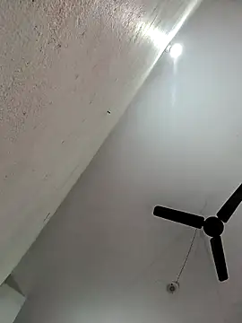 Snapshot of Appypie chatting on November 2025 05:51:02 AM Appypie online show from November 2025 05:51:02 AM