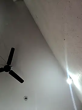 Snapshot of Appypie chatting on November 2025 06:36:02 AM Appypie online show from November 2025 06:36:02 AM