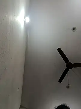 Snapshot of Appypie chatting on November 2025 06:41:02 AM Appypie online show from November 2025 06:41:02 AM