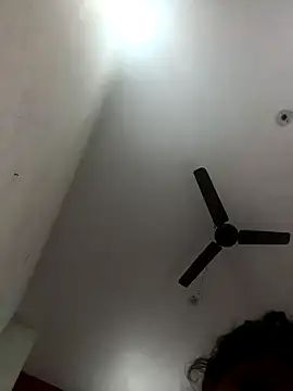 Snapshot of Appypie chatting on November 2025 06:35:01 AM Appypie online show from November 2025 06:35:01 AM