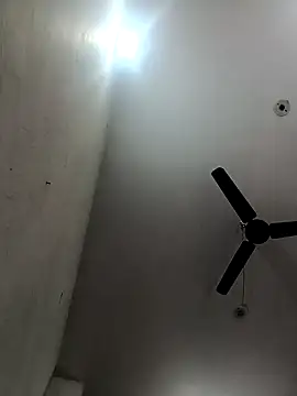 Snapshot of Appypie chatting on December 2025 05:34:01 AM Appypie online show from December 2025 05:34:01 AM