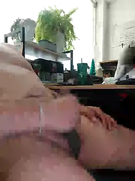 exhibimex online show from December 2025 04:02:02 PM