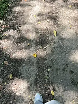 amo660 online show from September 2025 10:05:01 AM