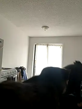 Snapshot of inked_nekoo chatting on December 2025 03:32:01 PM inked nekoo online show from December 2025 03:32:01 PM