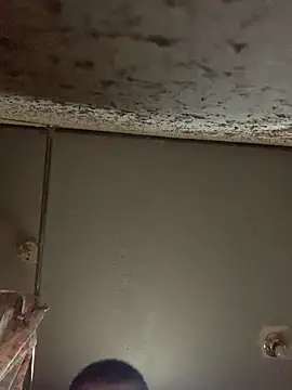 Allinside666 online show from April 2026 06:02:01 PM