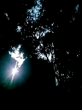 Lisa pusy online show from October 2025 10:42:02 PM