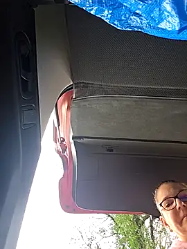 Snapshot of Swiss_Lady chatting on December 2025 01:31:01 PM Swiss Lady online show from December 2025 01:31:01 PM