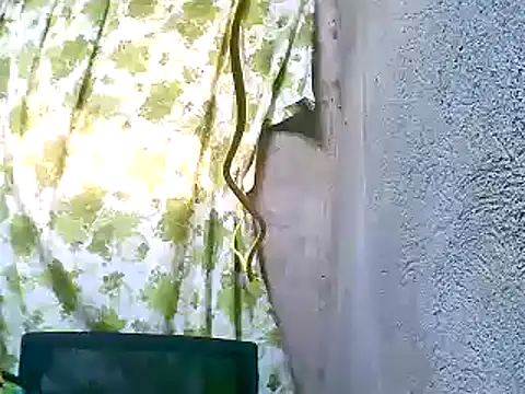 Sweeetgurll online show from November 2025 01:27:02 AM