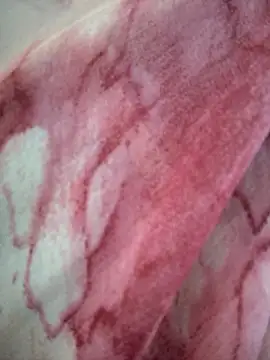 Snapshot of Monika_thakurr chatting on April 2026 01:58:01 AM Monika thakurr online show from April 2026 01:58:01 AM