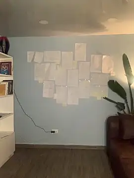 Canneela online show from September 2025 02:57:02 AM