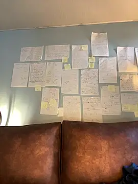 Canneela online show from January 2026 02:43:01 PM