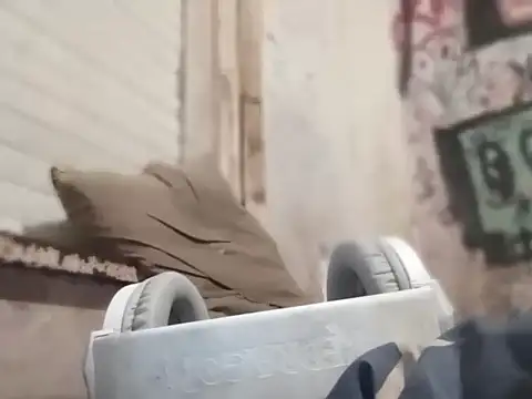 Snapshot of MYM69_- chatting on March 2026 07:34:02 AM MYM69 - online show from March 2026 07:34:02 AM