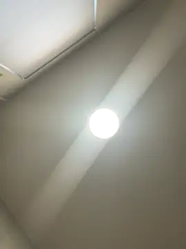 CheekyChelseaX online show from December 2025 09:48:01 AM