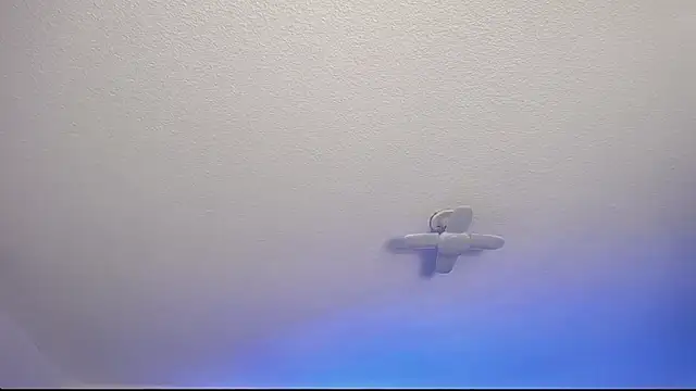  Charlotte Collins  online show from February 2026 02:54:02 PM