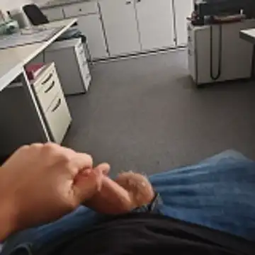 stunning stallion online show from November 2025 11:16:02 AM