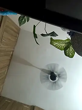 Snapshot of Spoorthi6_Kannada_Telugu chatting on March 2026 04:33:01 PM Spoorthi6 Kannada Telugu online show from March 2026 04:33:01 PM