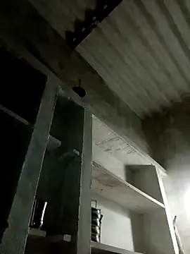 Payal950 online show from November 2025 12:38:01 PM