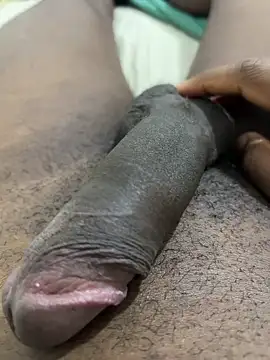 negaobr00 online show from February 2026 03:24:02 AM