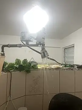 YadielPublic online show from April 2026 12:49:02 AM