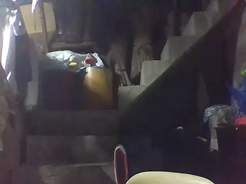 Snapshot of LadyboyMonsterCock chatting on November 2025 06:19:02 PM LadyboyMonsterCock online show from November 2025 06:19:02 PM