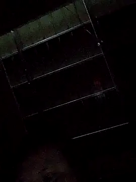 pussywet 08 online show from October 2025 12:15:01 PM