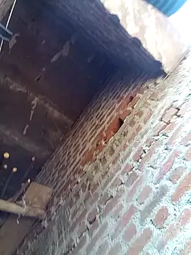 Xx pooja online show from February 2026 09:13:01 AM