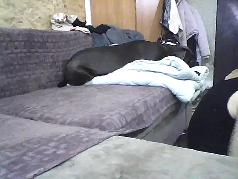 Milana38 online show from October 2025 09:50:02 AM